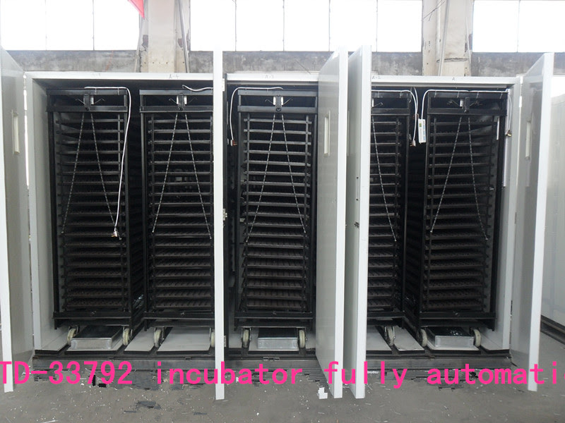 Egg hatching machine price/30000 eggs hatching machine/incubator 