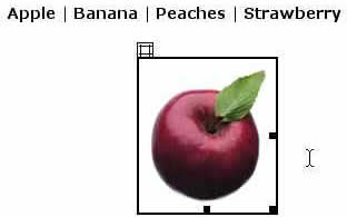 Inserting an Image in the Apple Layer