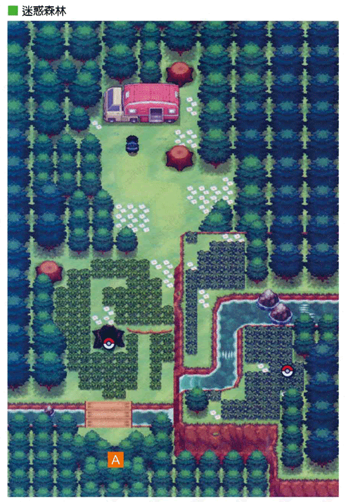 16號道路 迷惑森林黑白攻略 Mpokemon