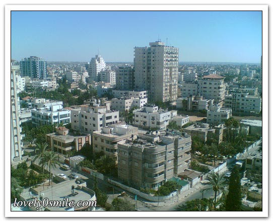 جولة في مدن فلسطين - صور