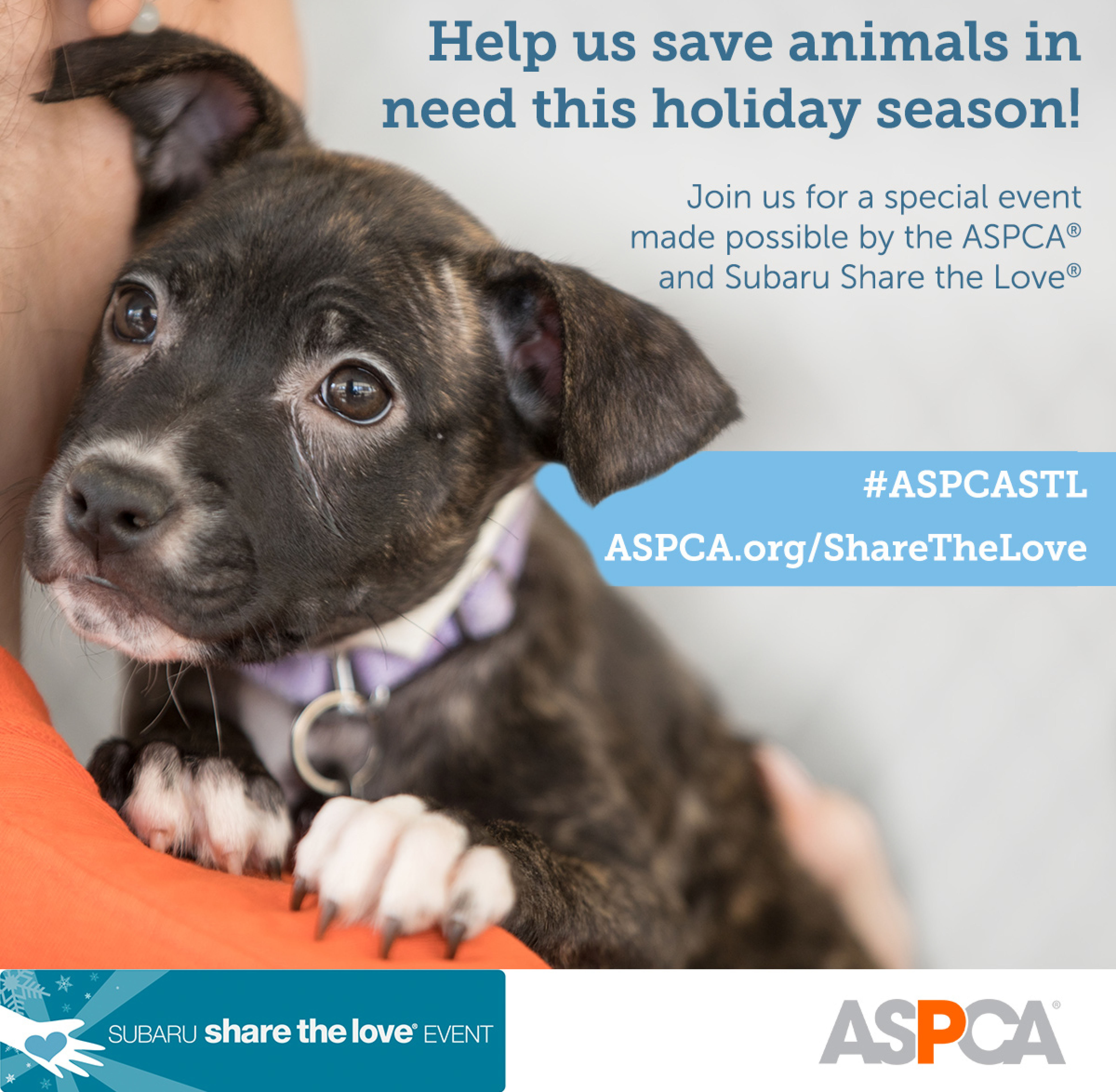 Aspca And Subaru Share The Love Fee Waived Adoptions Greenhill Humane Society