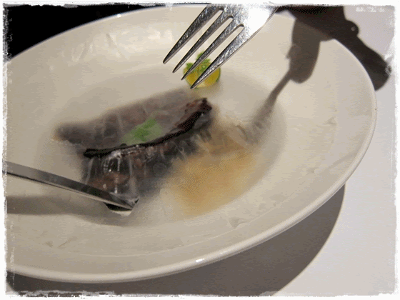  photo dishanigif_zps1a0e90d8.gif