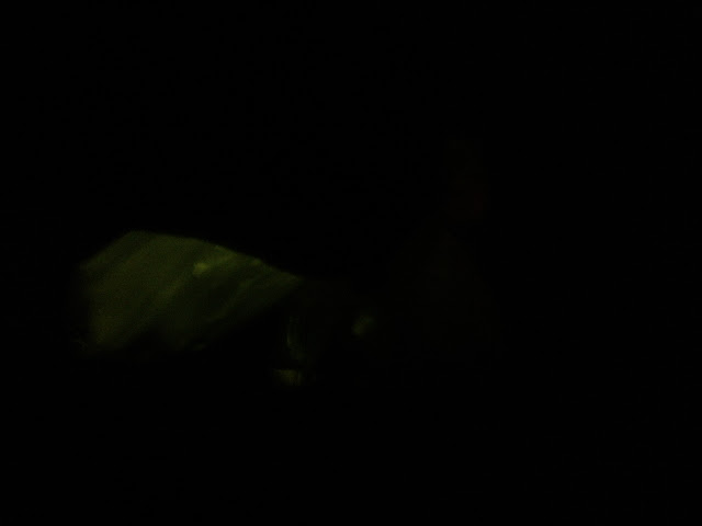 PIC_4228