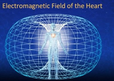 The Heart Has Its Own “Brain” and Consciousness | in5d.com