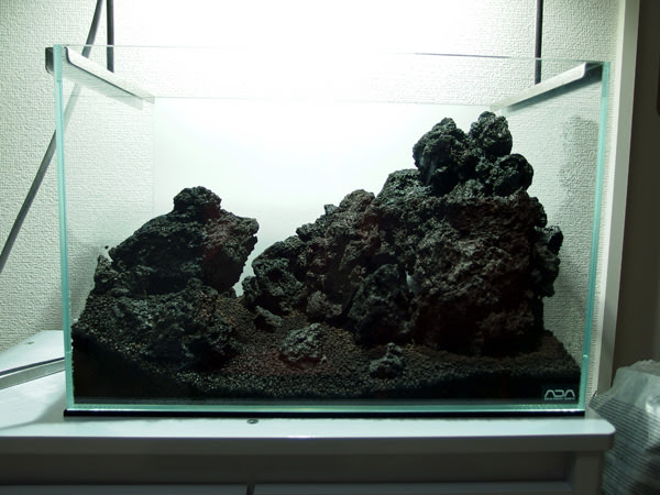 100 続 溶岩石ではじめての石組み 29歳からの45cm水草水槽ブログ2