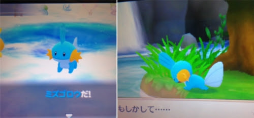 ポケモン 超不思議のダンジョン 趣味