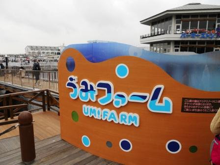 104 横浜 八景島シーパラの うみファーム での釣り 独断で選ぶ気になるもの のブログ