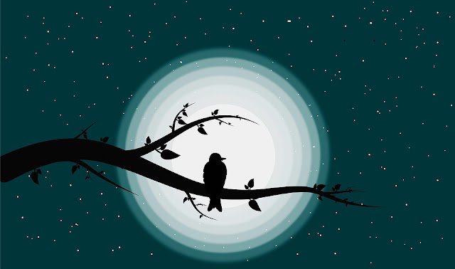 राहु का गोचर फल -  Astrology in hindi 