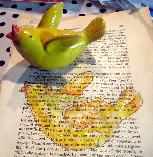 bird and on page