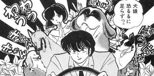 漫画全話レビュー めぞん一刻 第119話 ドッグ ホリデー 感想とレビュー Com
