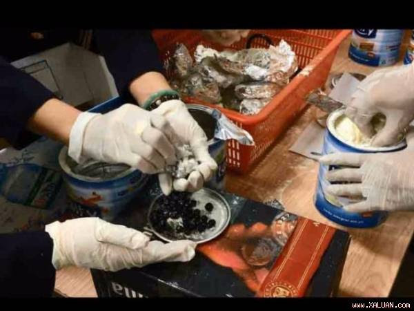 Giấu ngà voi, vảy tê tê trong bụng cá hồi và sữa bột