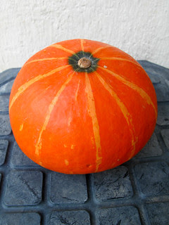 IMG_1345 Pumpkin , 南瓜