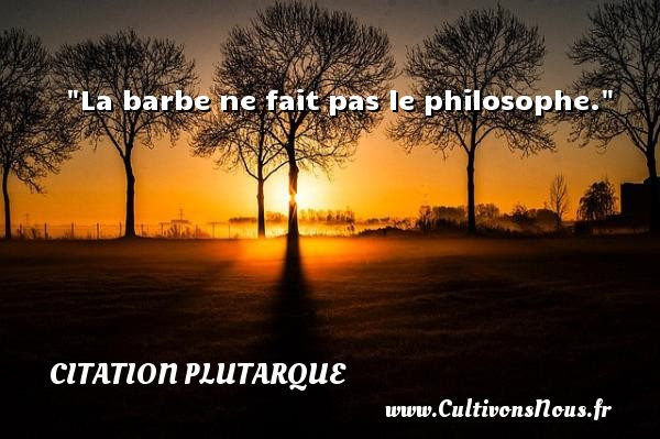 La Barbe Ne Fait Pas Le Citation Plutarque Cultivons Nous
