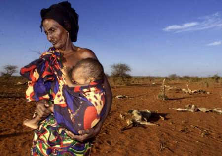 Ogaden2
