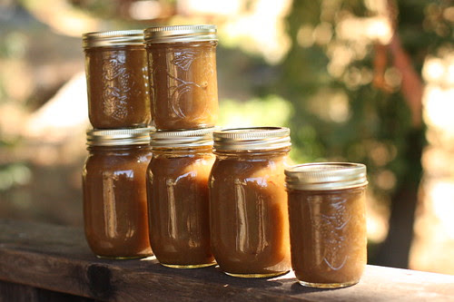 jars of apple butter