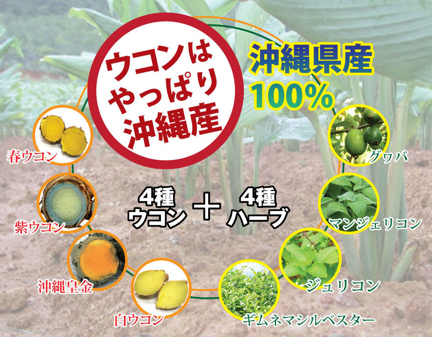 琉球 酒豪伝説 沖縄県保健食品開発協同組合