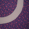 Sophie's Sample Eclipse #2