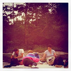 Picnic Dinner