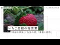 √1000以上 苺がくっきり 意味 223598