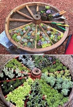 Vegetable Garden Ideas Diy