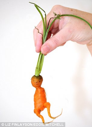 YVONNE DARNELL'S ALIEN CARROT