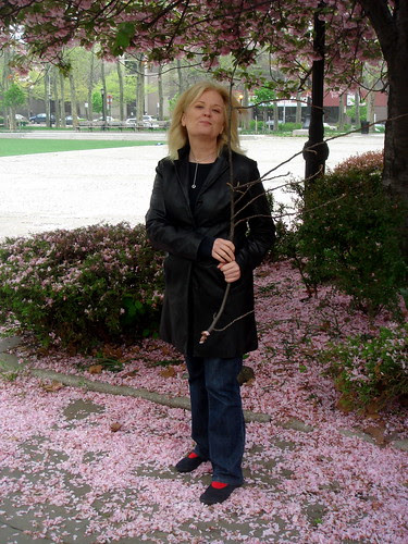 Cherry petals