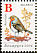 European Robin Erithacus rubecula