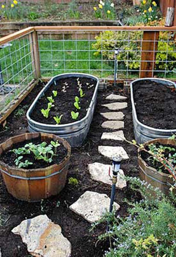 Grow Fruit and Vegetables In a Cool Raised Garden Bed ...