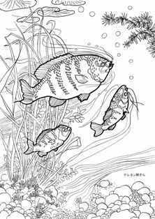 魚たちの塗り絵 たのしいぬりえ