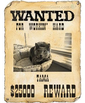 Wanted 指名手配 写真を作成できるジェネレーターです Tamaのblog