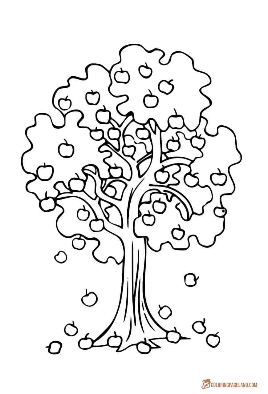 Download Fruit Tree Coloring Page at GetColorings.com | Free ...