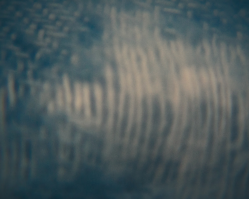 _MG_0100
