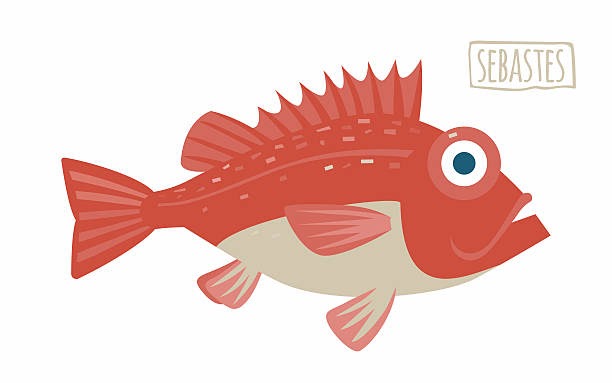 Download Free 201 Striped Bass Svg SVG PNG EPS DXF File for Cricut, Silhouette and Other Machine