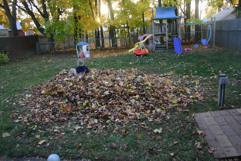  photo IMG_1920_zps5c681b52.jpg