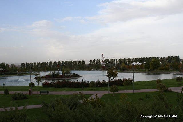 117-IMG_1753