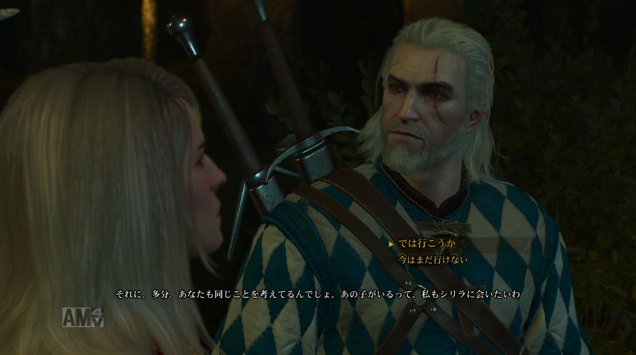 ウィッチャー3 ワイルドハント 日記7 ゲーム子