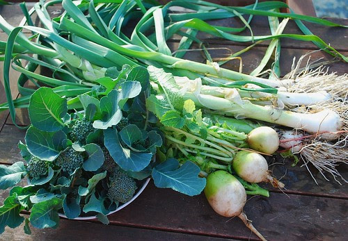 December Harvest
