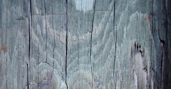 Wood-Grain_-Texture-Pack
