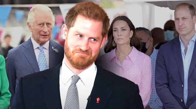 Prince Harry's solo visits 'dangerous' for Royal Family amid charity work