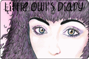 Little Owl's Diary