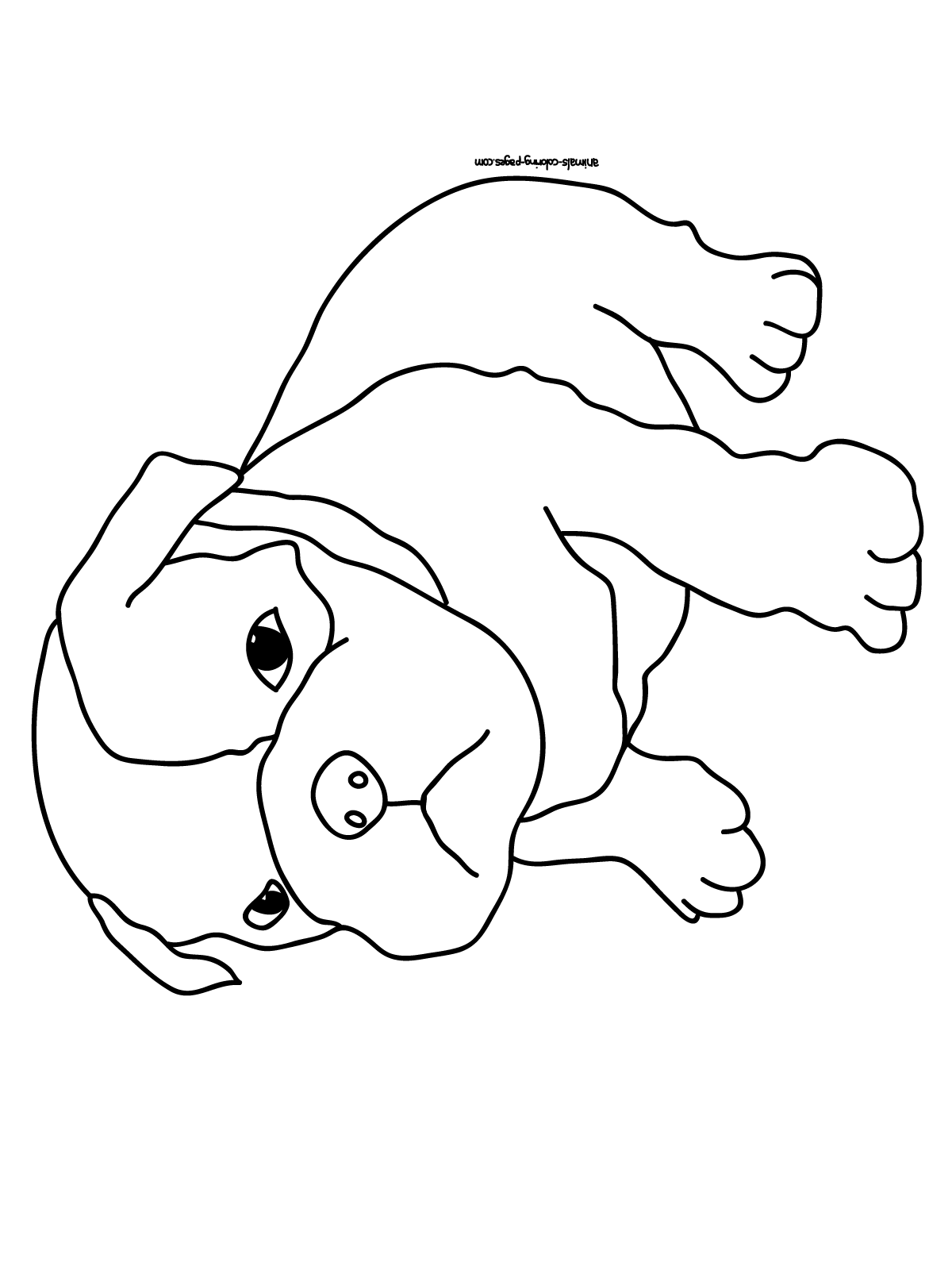 Realistic puppy coloring pages download and print for free