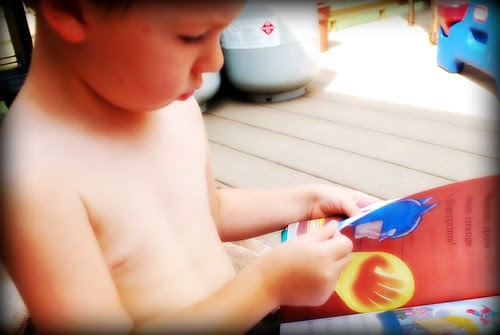 Will reading