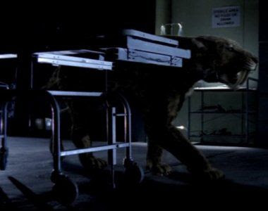 Imagens e Fotos de O Ataque do Dente de Sabre - Foto 4 