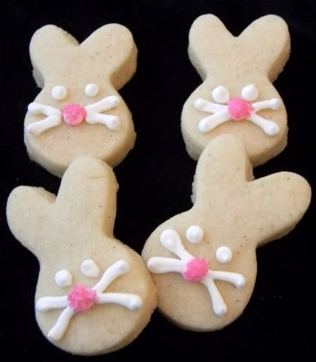 bunnies pink noses