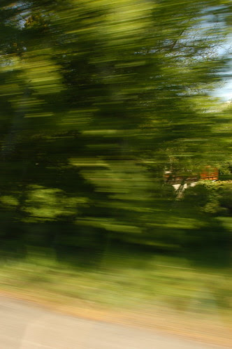 it's still mostly green on the main highway