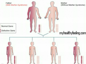 what's mesothelioma cancer