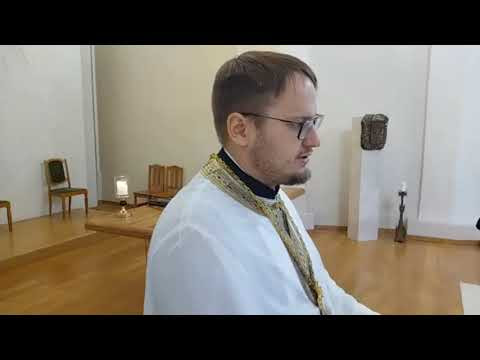 Vaizdas