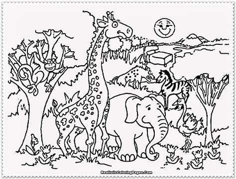  zoo animal coloring pages realistic coloring pages