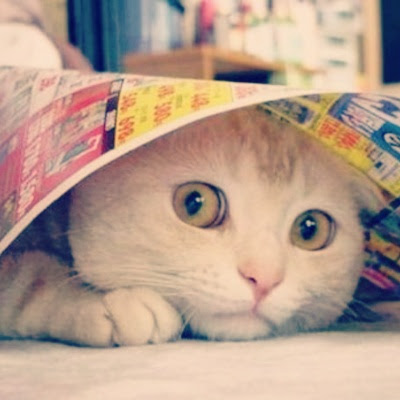  Gambar  Alamcyber 2020 Asal Usul Hantu  Tentera Jepun  Baca 