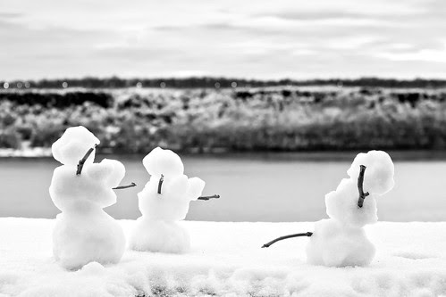 Mini Snow Family